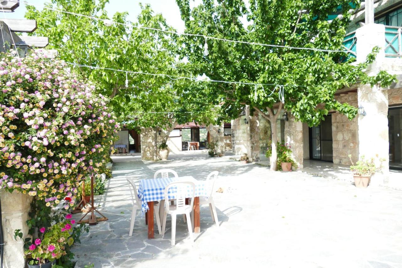 Studio With View In Polis Area Simou Exterior photo